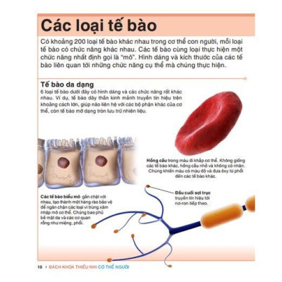 Sách - Tri Thức Trong Lòng Bàn Tay - Bách Khoa Thiếu Nhi Cơ Thể Con Người - Minh Thắng