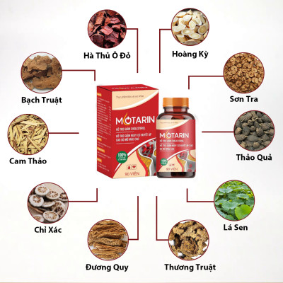 Combo 4 Tặng 2 Hộp Mỡ Máu Motarin Giúp Ổn Định Chỉ Số Mỡ Máu Hiệu Quả