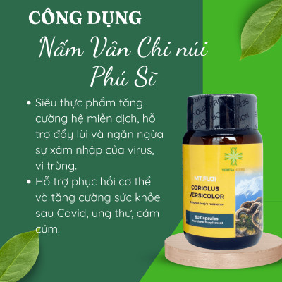 Combo 2 hộp Viên uống Nấm Vân Chi núi Phú Sĩ Teresa Herbs hỗ trợ tăng cường đề kháng và hệ miễn dịch (Lọ 60 viên)