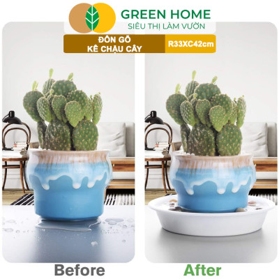 Đĩa Nhựa Lót Chậu Cây Greenhome, Nhiều Kích Cỡ, Hứng Nước Giúp Sạch Bàn, Sàn, Nhựa Nguyên Sinh, Bền, Đẹp, Chóng Rơi Vỡ