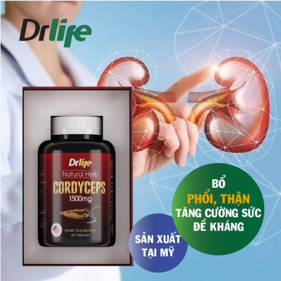 Đông Trùng Hạ Thảo Drlife Cordyceps, Bổ Phổi, Bổ thận, Tăng Cường Sức Đề Kháng, Tốt Cho Sức Khỏe