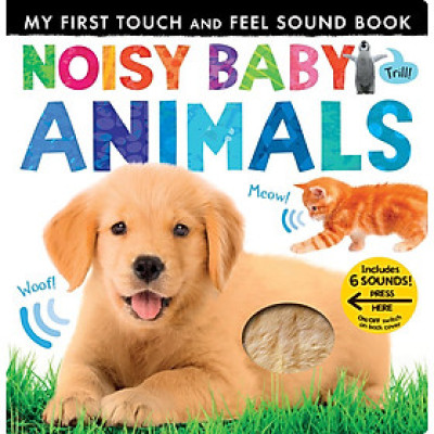 Sách ngoại văn: My First Touch And Feel Sound Book - Noisy Baby Animals