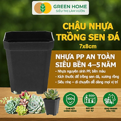 Bộ 10 Chậu Nhựa Trồng Sen Đá Greenhome, 7x8cm, Siêu Bền, Đẹp, Đa Năng, Trồng Mọi Loại Cây, Tiết Kiệm Không Gian