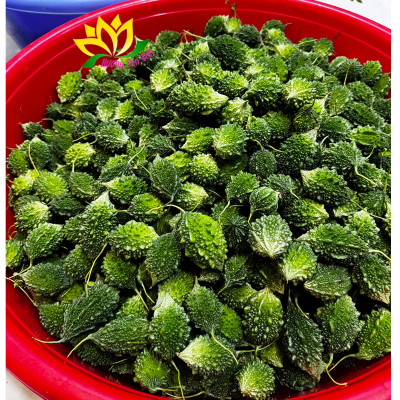 TRÀ TRÁI KHỔ QUA RỪNG HŨ 100G- HƯƠNG SEN VIỆT