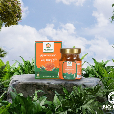 Hũ Đông Trùng Yến Nguyên Chất BIO HOPE Hỗ Trợ Điều Tiết Đường Huyết, Kiểm Soát Bệnh Tiểu Đường- Hũ 70ml