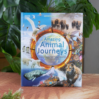 Sách - Amazing - Bách Khoa Tri Thức Về Những Điều Phi Thường Nhất - Combo 2 Cuốn - Đinh Tị Books