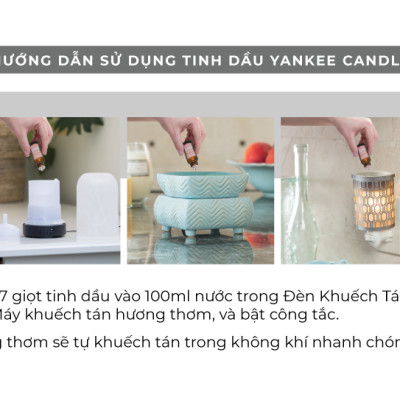 Tinh dầu Yankee Candle - Bahama Breeze (15ml)