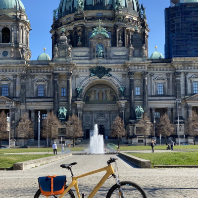 Xe đạp thể thao khung tre - Trevi Elite Sport