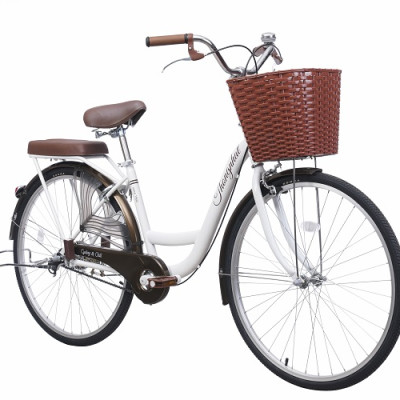 Xe đạp Thống Nhất mini New 26-Hàng chính hãng