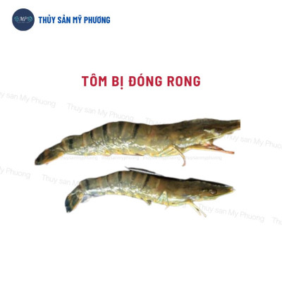 Men vi sinh hạt xử lý đáy thối nước dơ khí độc nước đục diệt rong Probac gây màu tảo khuê trà tôm thẻ cá lươn ếch ốcbaba