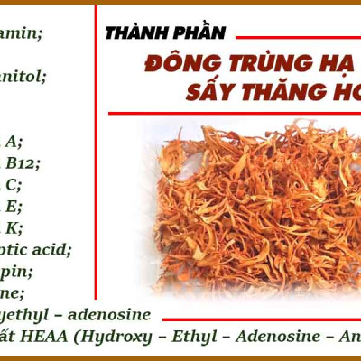 Đông trùng hạ thảo, mật ong rừng Phúc Khang 300g - Hũ thủy tinh cao cấp - Công nghệ sấy thăng hoa - Chống lão hóa, phòng ngừa ung thư, tim mạch, bồi bổ cơ thể - Quà tặng bảo vệ sức khỏe người thân