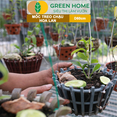 10 Móc Treo Chậu Lan Greenhome, D60Cm, Thiết Kế Tối Giản, Thẩm Mỹ, Treo Lan, Chậu Hoa, Dễ Sử Dụng