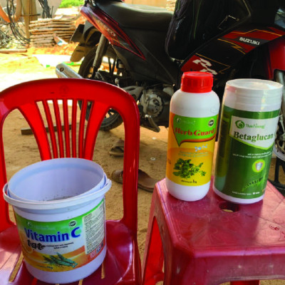 Kích thích hệ miễn dịch tôm cá BETAGLUCAN GRO