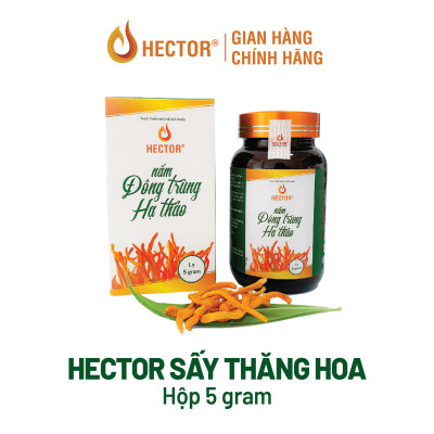 Hộp Nấm Đông Trùng Hạ Thảo HECTOR Sấy Thăng Hoa tăng cường đề kháng 5gram