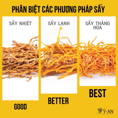 Đông trùng hạ thảo, mật ong rừng Phúc Khang 300g - Hũ thủy tinh cao cấp - Công nghệ sấy thăng hoa - Chống lão hóa, phòng ngừa ung thư, tim mạch, bồi bổ cơ thể - Quà tặng bảo vệ sức khỏe người thân