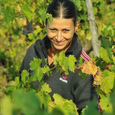 Rượu vang Ý ABVNDANTIA Negroamaro I.G.P Puglia (Italia) kèm túi hộp,đồ khui 