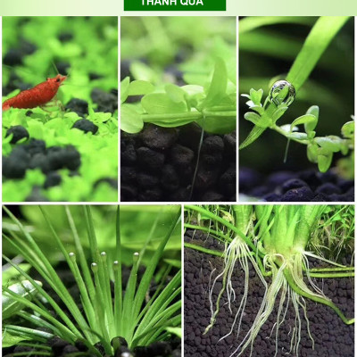 Đá Nham Thạch 2KG + Phân nền Dia Max AQua túi 2KG cho hồ thủy sinh