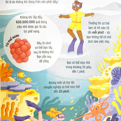 Bật Mí Bí Mật Về Cơ Thể Người