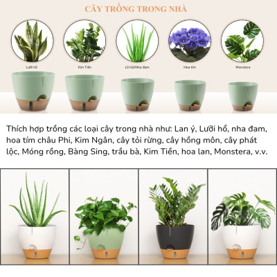 Chậu trồng cây tự tưới thông minh Monrovia A60 cho cây trong nhà và ngoài trời, decor, văn phòng