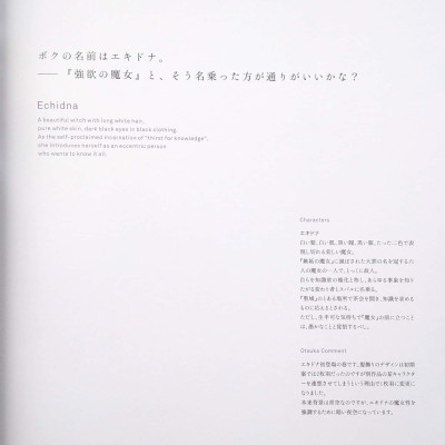 Re:ゼロから始める異世界生活 大塚真一郎 Art Works Re:BOX 2nd