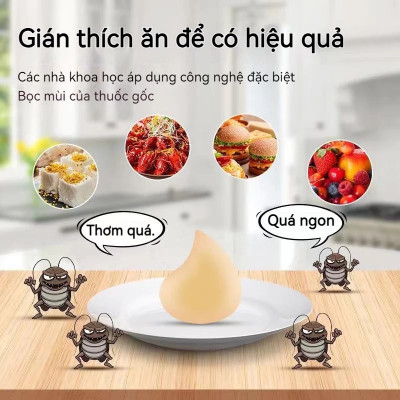 Combo 4 hộp thuốc diệt gián sinh học Housheng, diệt tận gốc tất cả các loại gián, hiệu quả, an toàn.
