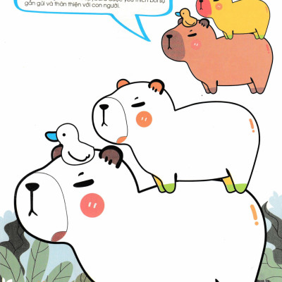 Combo Bé Tô Màu Capybara + Kuromi (HA) (Bộ 4 Cuốn)