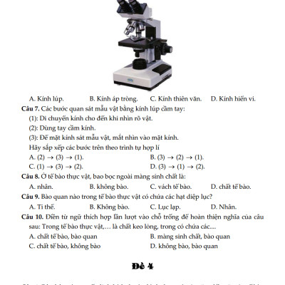 100 Đề Kiểm Tra Sinh Học 6