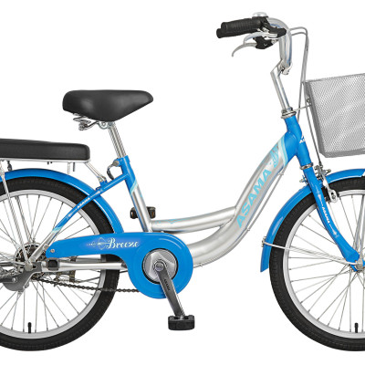 Xe Đạp Trẻ em Asama CLD BR2002 20inch