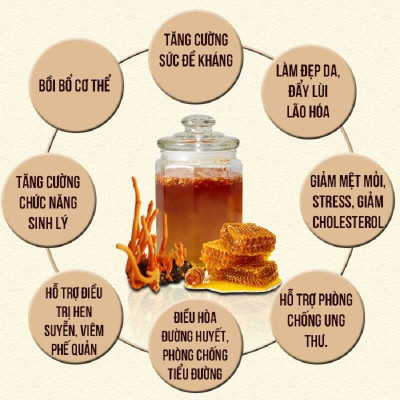 Đông trùng hạ thảo, mật ong rừng Phúc Khang 300g - Hũ thủy tinh cao cấp - Công nghệ sấy thăng hoa - Chống lão hóa, phòng ngừa ung thư, tim mạch, bồi bổ cơ thể - Quà tặng bảo vệ sức khỏe người thân