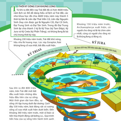 Kiến Thức Về Khủng Long - Khủng Long Oviraptor Có Trộm Trứng Thật Không? Đặt Tên Và Hoá Thạch