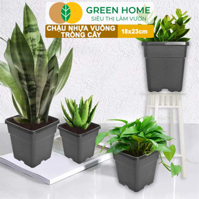 Chậu Vuông Trồng Cây Greenhome, Nhiều Kích Thước, Nhựa Cứng, Thoát Nước Tốt, Trồng Hoa, Kiểng Lá