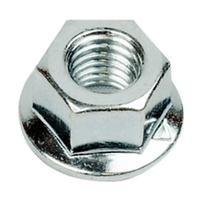 Ốc bắt lam Cưa (1 cái)