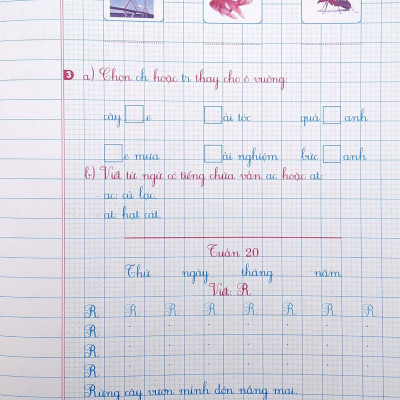 Vở Chính Tả Lớp 2 - Quyển 2 (Theo Kết Nối Tri Thức Với Cuộc Sống)