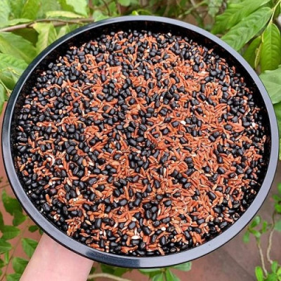 Trà gạo lứt huyết rồng - đậu đen xanh lòng MS (01kg) - Thanh nhiệt, mát gan, lợi sữa