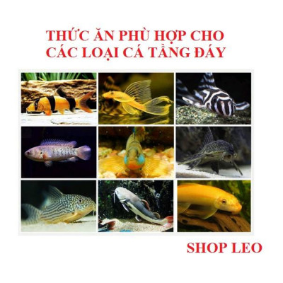 Thức Ăn Pleco Hikari - Thức ăn cá pleco cao cấp - cá chuột - pleco - cá tầng đáy