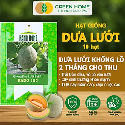 Hạt Giống Dưa Lưới Ruột Vàng Greenhome, Gói 10 Hạt, Dễ Trồng Quanh Năm, Nảy Mầm Cao, Thu Hoạch Nhanh, Năng Suất Cao T14