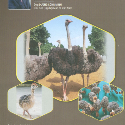 Cách Nuôi ĐÀ ĐIỂU