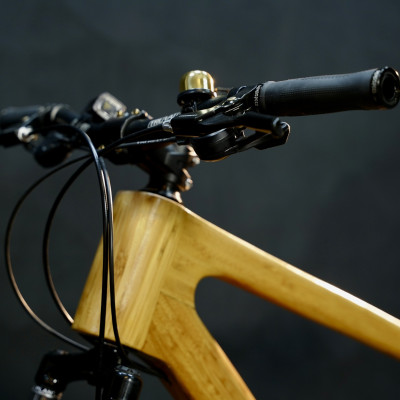 Xe đạp khung tre HayBike BamBoo