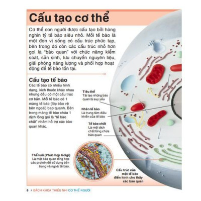 Sách - Tri Thức Trong Lòng Bàn Tay - Bách Khoa Thiếu Nhi Cơ Thể Con Người - Minh Thắng