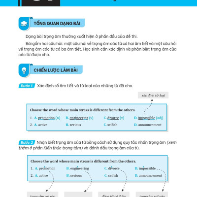 Giải Thích Và Ôn Luyện Chuyên Đề Tiếng Anh Thi Vào Lớp 6 Trường THCS Chất Lượng Cao