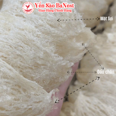 Tổ Yến Sào Tinh Chế 1 Lớp kèm quà tặng - Yến Sào BaNest