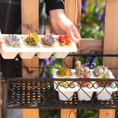 Chậu trồng sen đá MONROVIA, kèm đĩa lót, trồng cây mini, bonsai, xương rồng, decor bàn làm việc