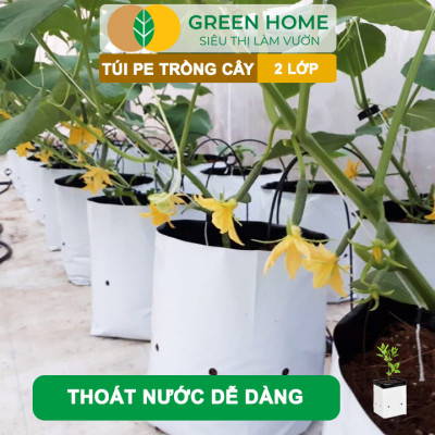 Túi Trồng Cây GreenHome, PE 2 Lớp, Chống UV, Tiện Lợi, Kinh Tế, Độ Bền 1,5 Năm, Trồng Rau, Hoa, Dâu Tây