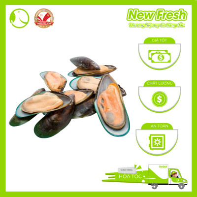 Vẹm Xanh Newzealand Talley - Hộp 1Kg (20-30 con)