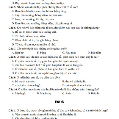 100 Đề Kiểm Tra Sinh Học 6