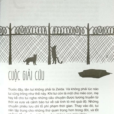 Mèo Con Phiêu Lưu Ký