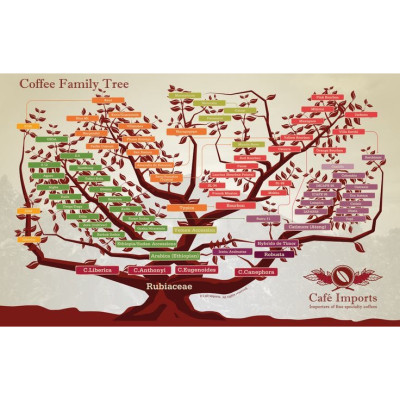 (HCM) Tranh treo tường trang trí decor quán cà phê kèm đinh treo chuyên dụng