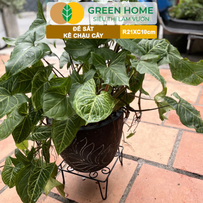 Đế Kê Chậu Cây Greenhome, R21xc10cm, Bằng Sắt Sơn Tĩnh Điện, Màu Đen, Uốn Mỹ Nghệ, Bền, Đẹp, Nhiều Hình Dạng Lựa Chọn