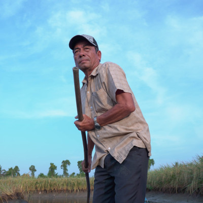 Gạo Thơm ST25 Túi 5Kg A An - Cơm mềm dẻo, thơm nhẹ, vị ngọt