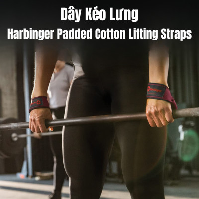 Dây Kéo Lưng Harbinger Unisex